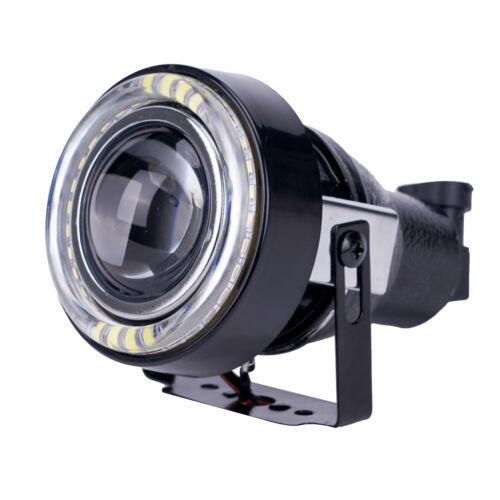 Fog Lights